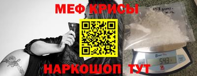шишки Аргун