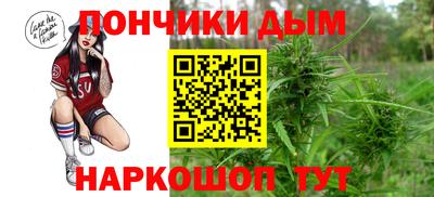 шишки Аргун