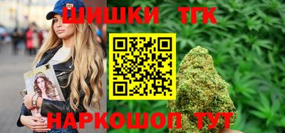 шишки Аргун
