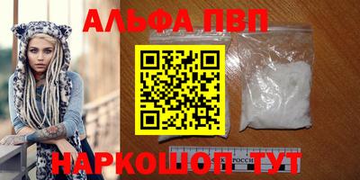 шишки Аргун
