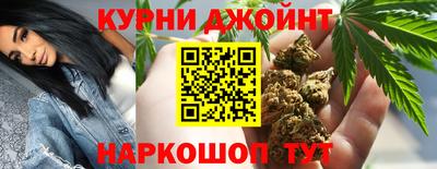 шишки Аргун