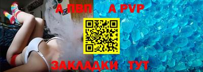 шишки Аргун