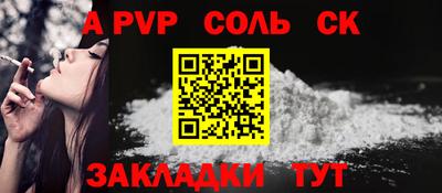 шишки Аргун