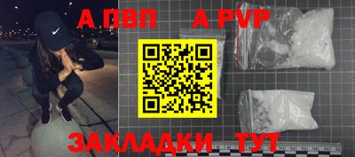 шишки Аргун