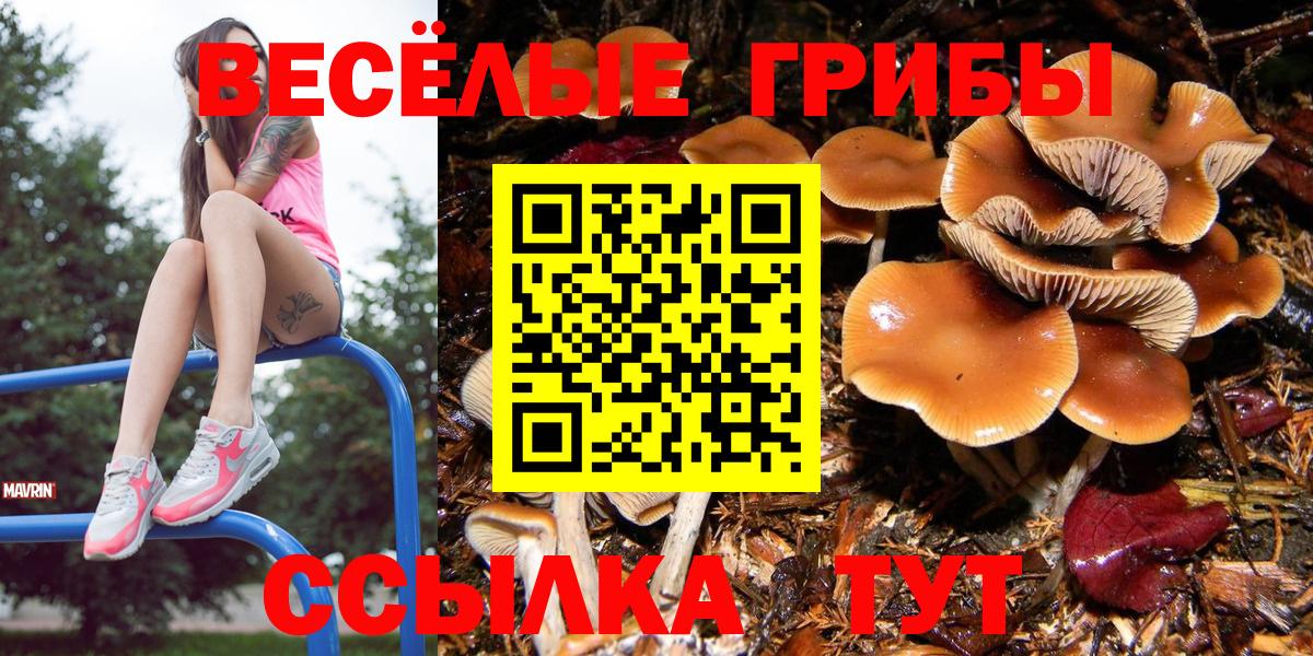 Псилоцибиновые грибы мухоморы  Псилоцибиновые грибы Cubensis  Артём  Вход с VPN 