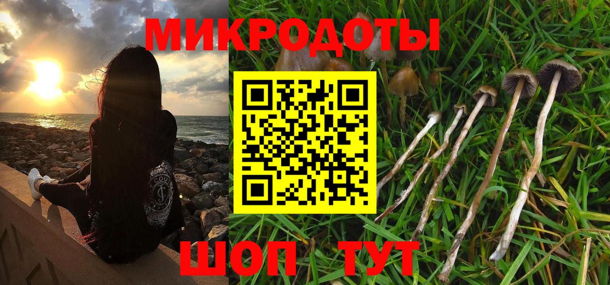 Галлюциногенные грибы Cubensis Артём